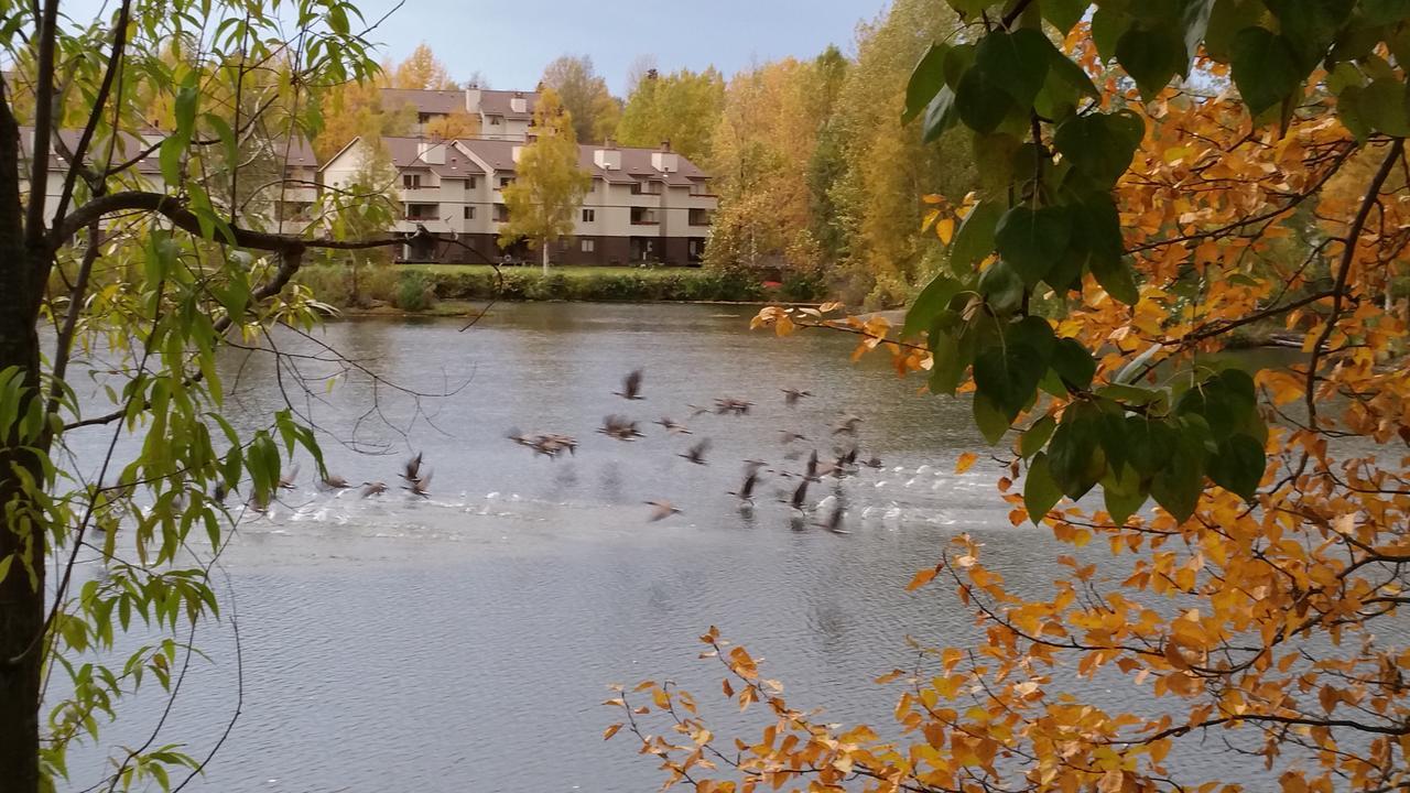 Reflection Lake Bed And Breakfast Анкъридж Екстериор снимка
